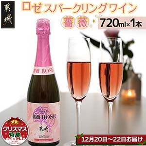 ڡꥹޥۥ ѡ󥰥磻 鯢122022Ϥ