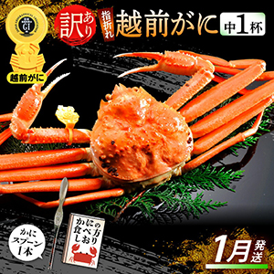 ڱʡݡۡۻޤ 極 2024ǯ13