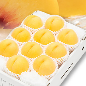 黄桃 (品種おまかせ) 3kg (7〜12玉)【先行予約】2024年8月発送開始　