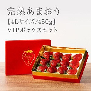 1-44LϤޤ VIP450g