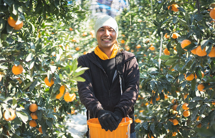 田中 野夫 　plantation 定価3万　YOORYUU カーディガン 先行予約> Plantation / YOORYUU / カーディガン(M navy(13