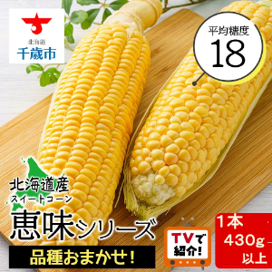 �����ͽ��2026ǯȯ�����̳�ƻ ��л� �Ȥ��������1��430��ʾ� �ַ�̣�ץ��꡼�����餪�ޤ�����1���� �ڤդ����ढ�󤶤��