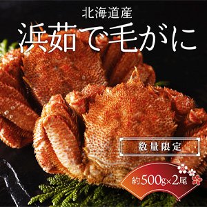 ڿ̸̳ۡƻ觤Ӥˡ500g2ۡ