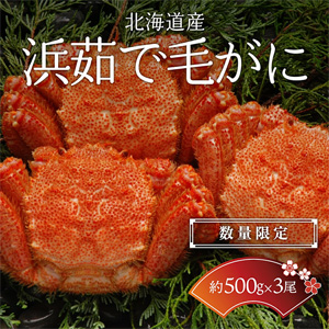 ڿ̸̳ۡƻ䡡觤Ӥˡ500g3ۡ