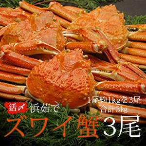 衺觤ǥ磻33kgå