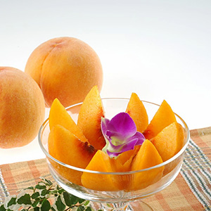 ご家庭用　おかやまの黄金桃　1.3kg　5〜6玉【先行予約】令和6年8月下旬から発送開始予定　