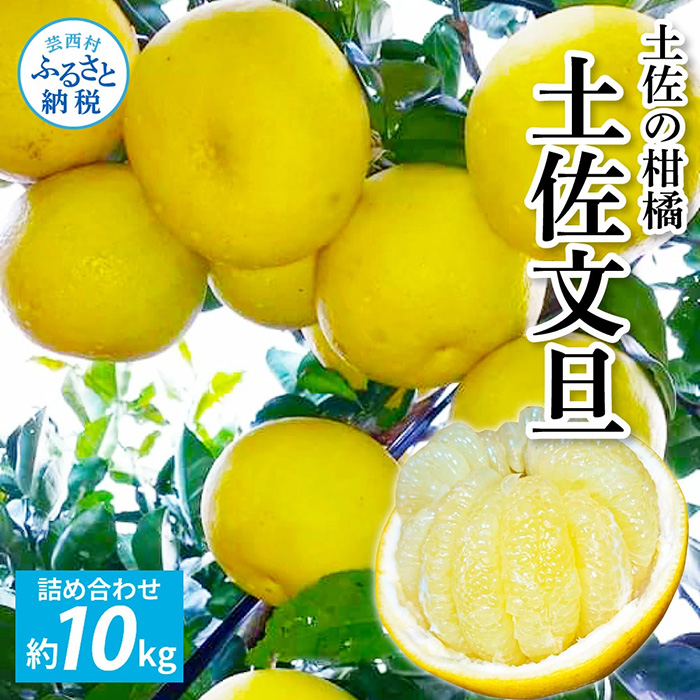 土佐文旦10kg家庭用 | 土佐文旦,家庭用 | おおぐし農園