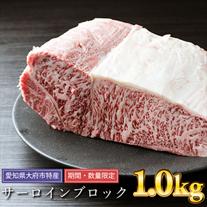 ڴ̸ܻ֡û A5µ 1.0kg