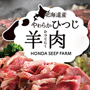 ̳ƻҤĤ HONDA SHEEP FARM