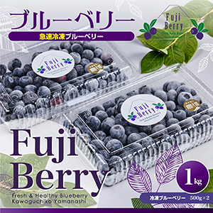 Fuji Berry ®֥롼٥꡼