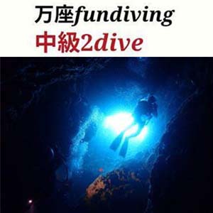 å եӥ  2DIVE¶᳤ڲǼ¼饰