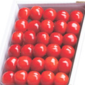 2L 500g2ʡѵ͡