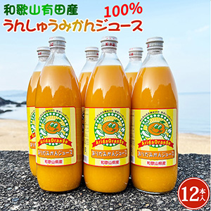 ²λͭĻ100% 󤷤夦ߤ󥸥塼 970ml12ܥå