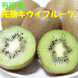 ͽͭĤǤȤ줿ϥե롼