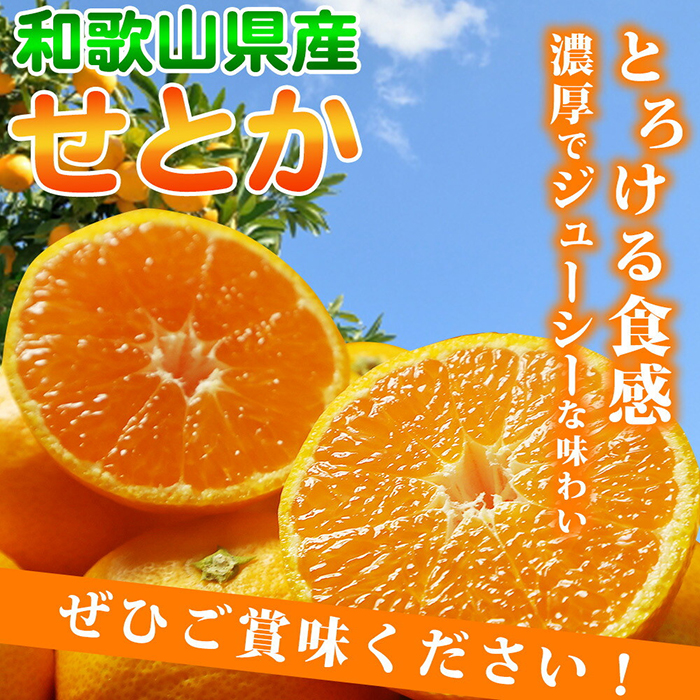 先行予約】柑橘 せとか 2.5kg ｜ G-Call ふるさと納税