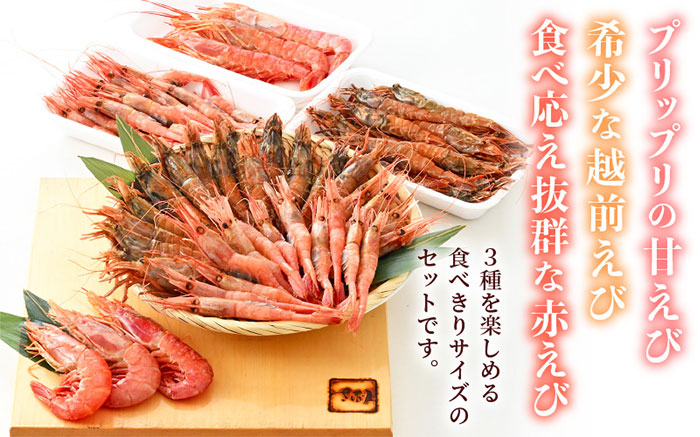 2025年4月から発送】えび3種食べ比べセット（甘えび・越前えび・赤エビ