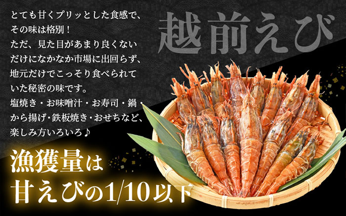 2025年4月から発送】えび3種食べ比べセット（甘えび・越前えび・赤エビ