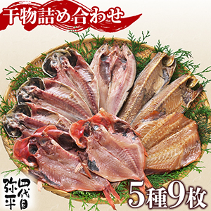 ڲͽۻʿ ʪ ͤ碌 59(  ۤä Хե ֵ)ڥޥ建