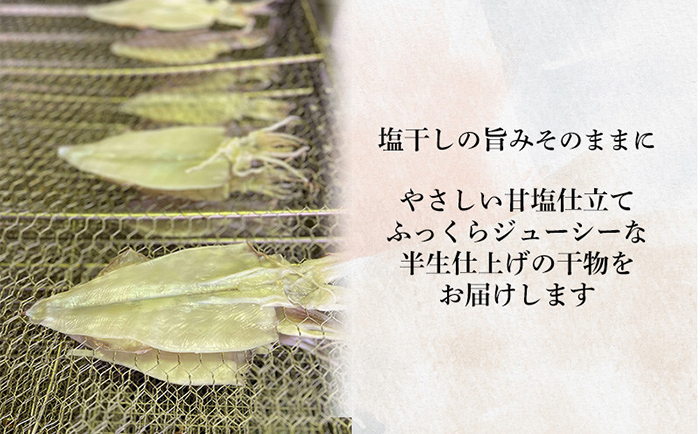 干物 特選真アジ大サイズ 6枚加倉水産 ｜ G-Call ふるさと納税