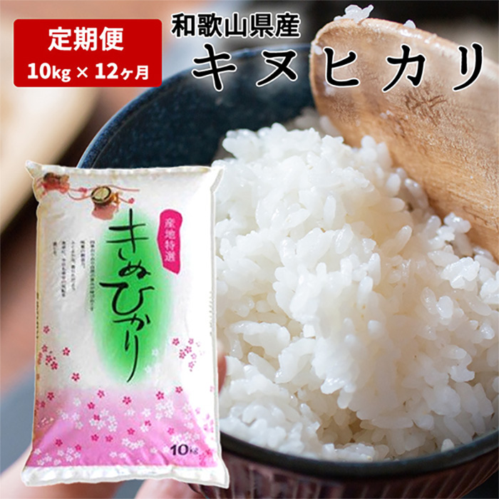定期便】和歌山県産 キヌヒカリ 10kg毎月1回、12ヶ月間お届け