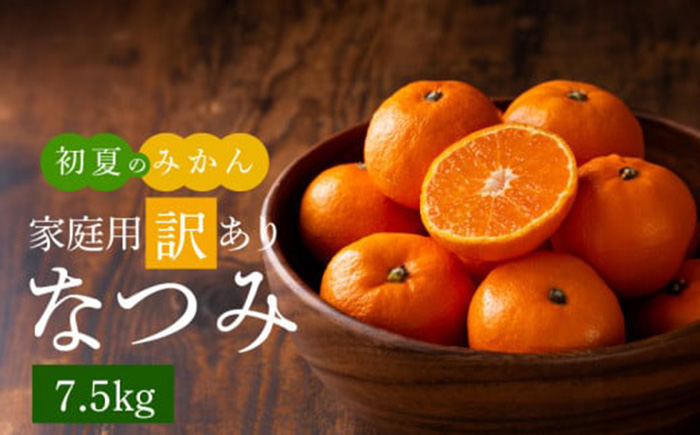 なつみかん専用 楽天市場】ドライフルーツ 送料無料 [壮関] ナチュルーツ 愛媛県産