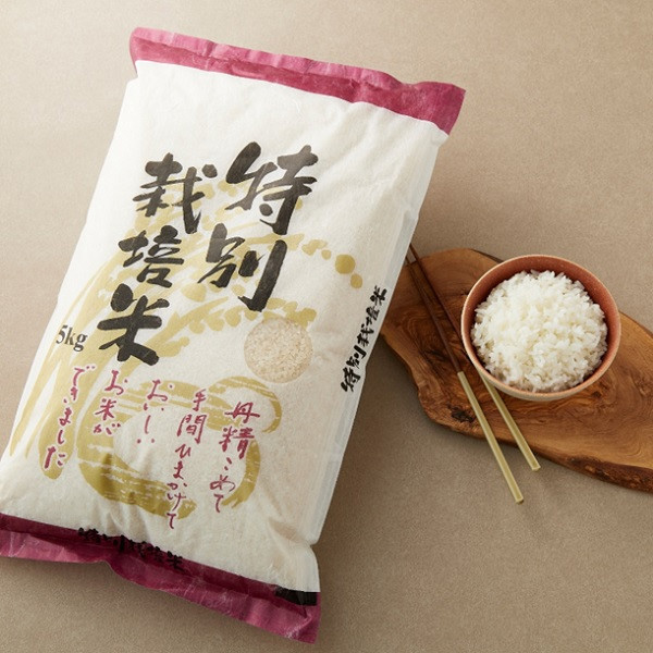 kumamon様専用】【予約、R6年 新米】コシヒカリ 20kg✖️2個