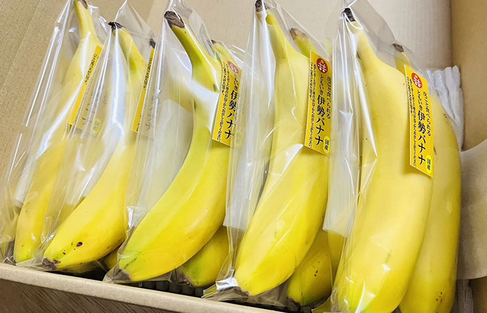 平均糖度25度以上皮ごと食べられる「ともいき伊勢バナナ」 ｜ G-Call