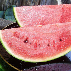 �����ͽ���7���8��ȯ������»�Ȭ������Ȭ���������� ���̢�2�̢�