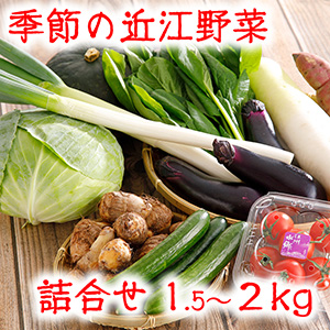 Ṿڵͤ礻åȡ1.5ԡ2ԡ