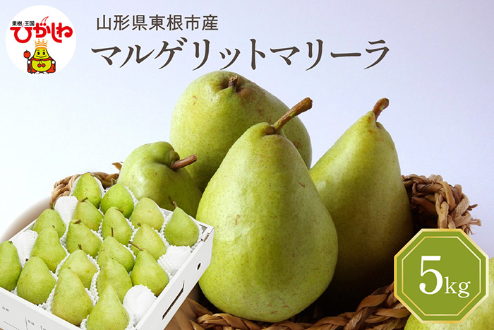 令和6年産 先行予約】西洋梨マルゲリットマリーラ 5kg 秀品 ｜ G-Call