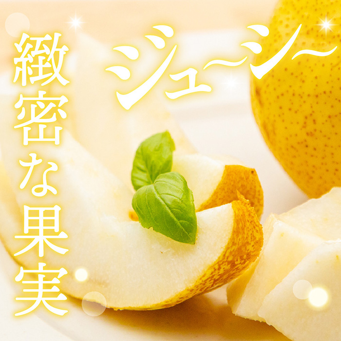 令和6年産 先行予約】西洋梨シルバーベル 5kg 秀品 | G-Call 令和6年産 先行予約】西洋梨シルバーベル 5kg 秀品 | G-Call