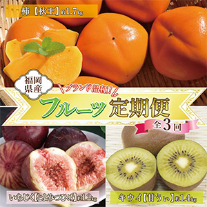 ����3������ء�ʡ�������ե롼�������