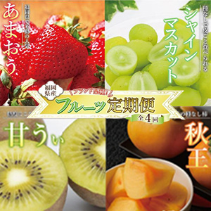 ʡ���ե롼�������B (���㥤��ޥ����åȡ��Ť��������������ޤ���)����4��ۡ�