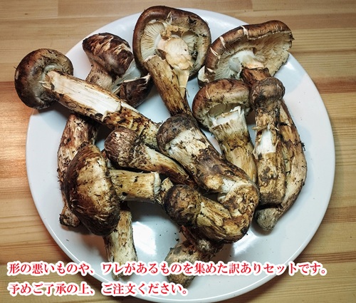 商品説明