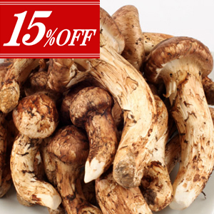 ��15��OFF�ۥ֡�������