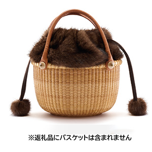ʥ󥿥åȥХåѶ