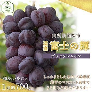 ͽٻΤε1˼700g2025ǯȯ䡡