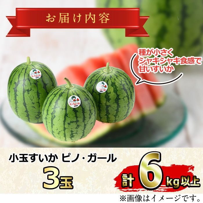 ②４９００円・3玉・注文受付中・第３弾・ピノガール「小玉スイカランキング第１位」 ②4900円・3玉・注文受付中・第3弾・ピノガール「小玉