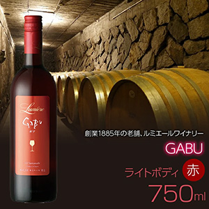 ߥ GABU 750mlܥ磻 ֥磻 饤ȥܥǥ