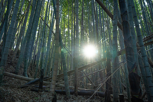 屋号説明