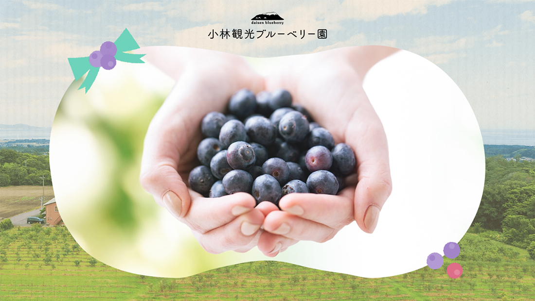 ӴѸ֥롼٥꡼