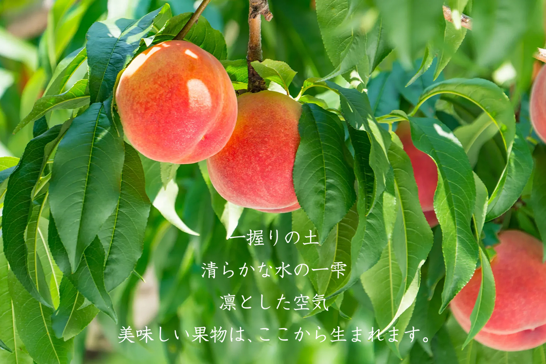 屋号説明