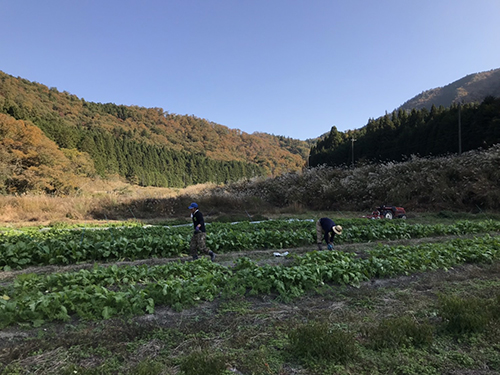屋号説明