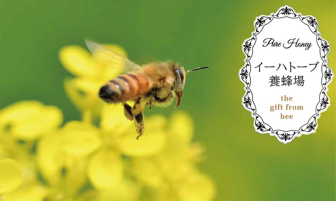 ȥϡ֤ηä