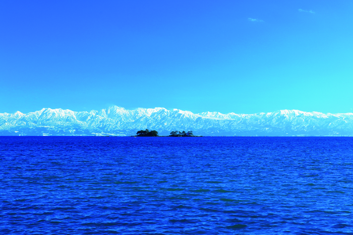 �ٻ���ɹ����