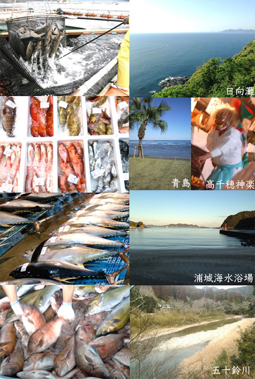 屋号説明