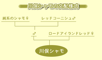 屋号説明