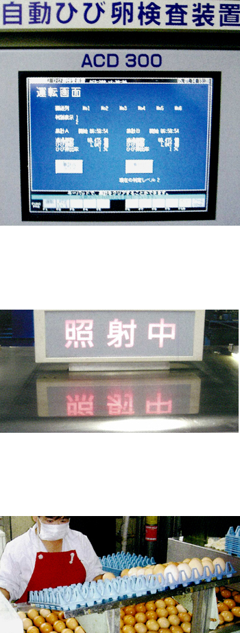 ²°¹æÀâÌÀ
