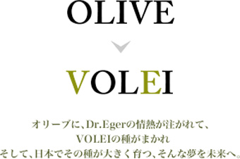 屋号説明