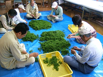 屋号説明